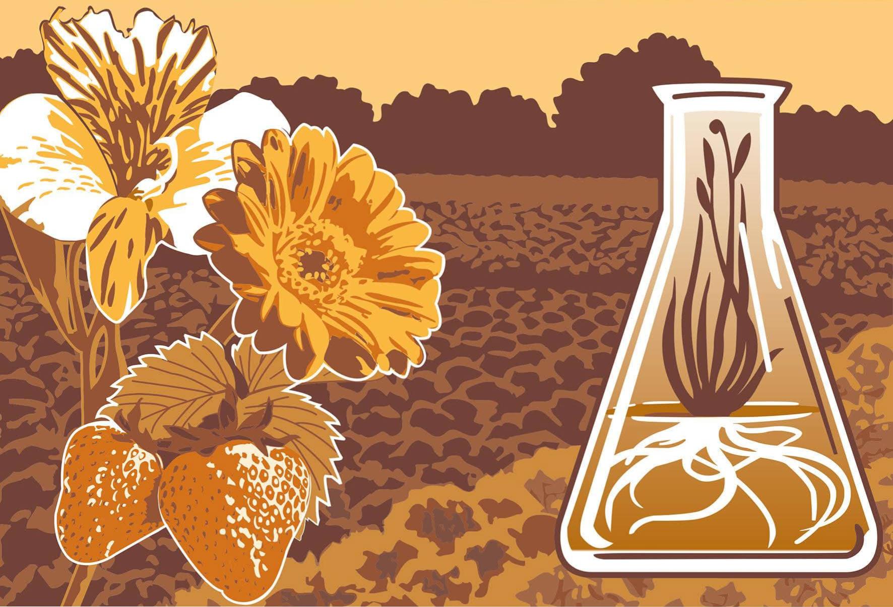 Photo du panneau : pôle national horticole